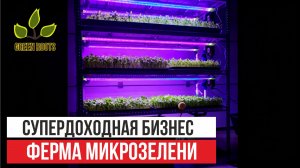 Обзор фермы для микрозелени GreenRoots GL-4