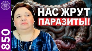 #850 НАС ЖРУТ ПАРАЗИТЫ?! Прямой эфир с Ириной Подзоровой