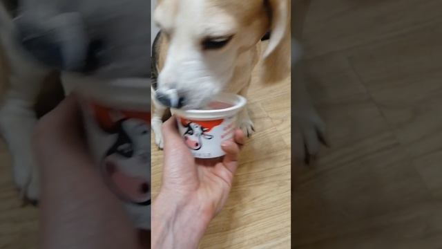 Сметанка смотреть онлайн