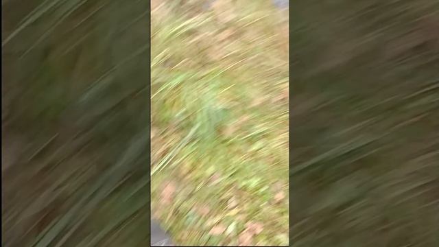 СЕРИАЛ ШКОЛА- 2 серия смотреть онлайн