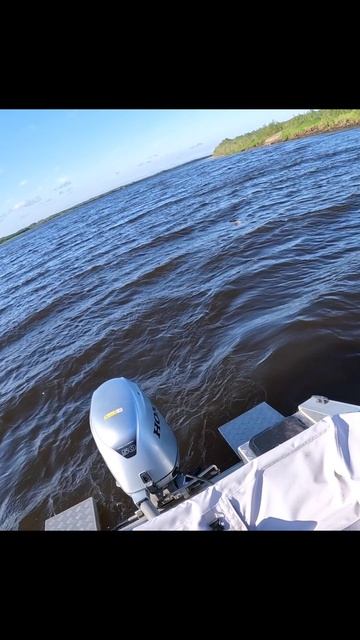 Щука другого уровня! смотреть онлайн