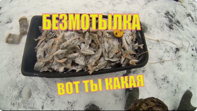 Ловля Окуня Зимой на Безмотылку смотреть онлайн