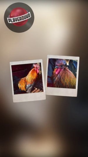 Как в ARC Raiders появился Плюшкин? #arcraiders #пасхалка #плюшкин