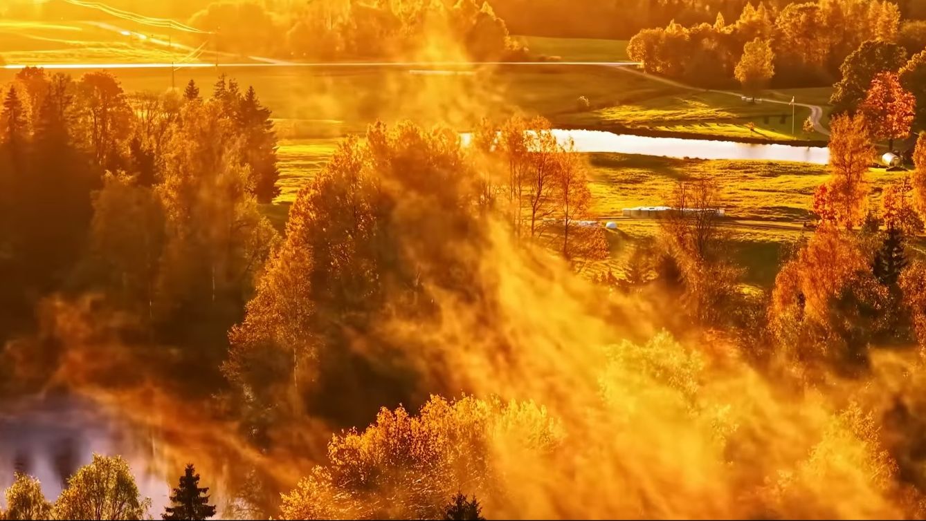 Осенний ноябрь 4К - Последние краски осени | Мирный, расслабляющий фильм о природе🍂 смотреть онлайн