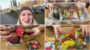 21 ноября. КОРОБКА С СЕМЕНАМИ. Что высаживала. Что понравилось, а что нет.