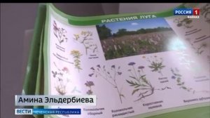 Эколого-биологический центр - это дополнительная возможность развить ребенка