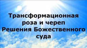ТРАНСФОРМАЦИОННАЯ РОЗА И ЧЕРЕП. Решения Божественного суда #наянабелосвет