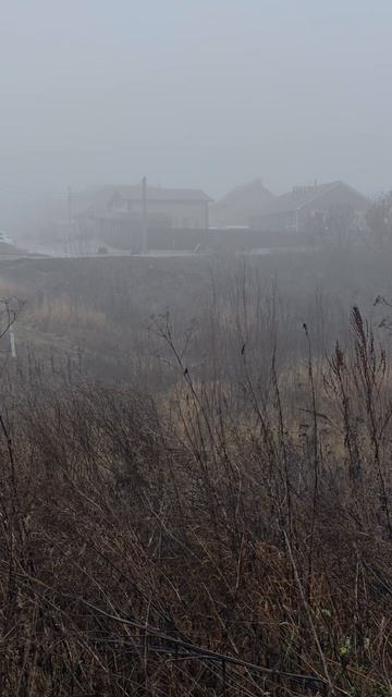 Утренний туман. смотреть онлайн