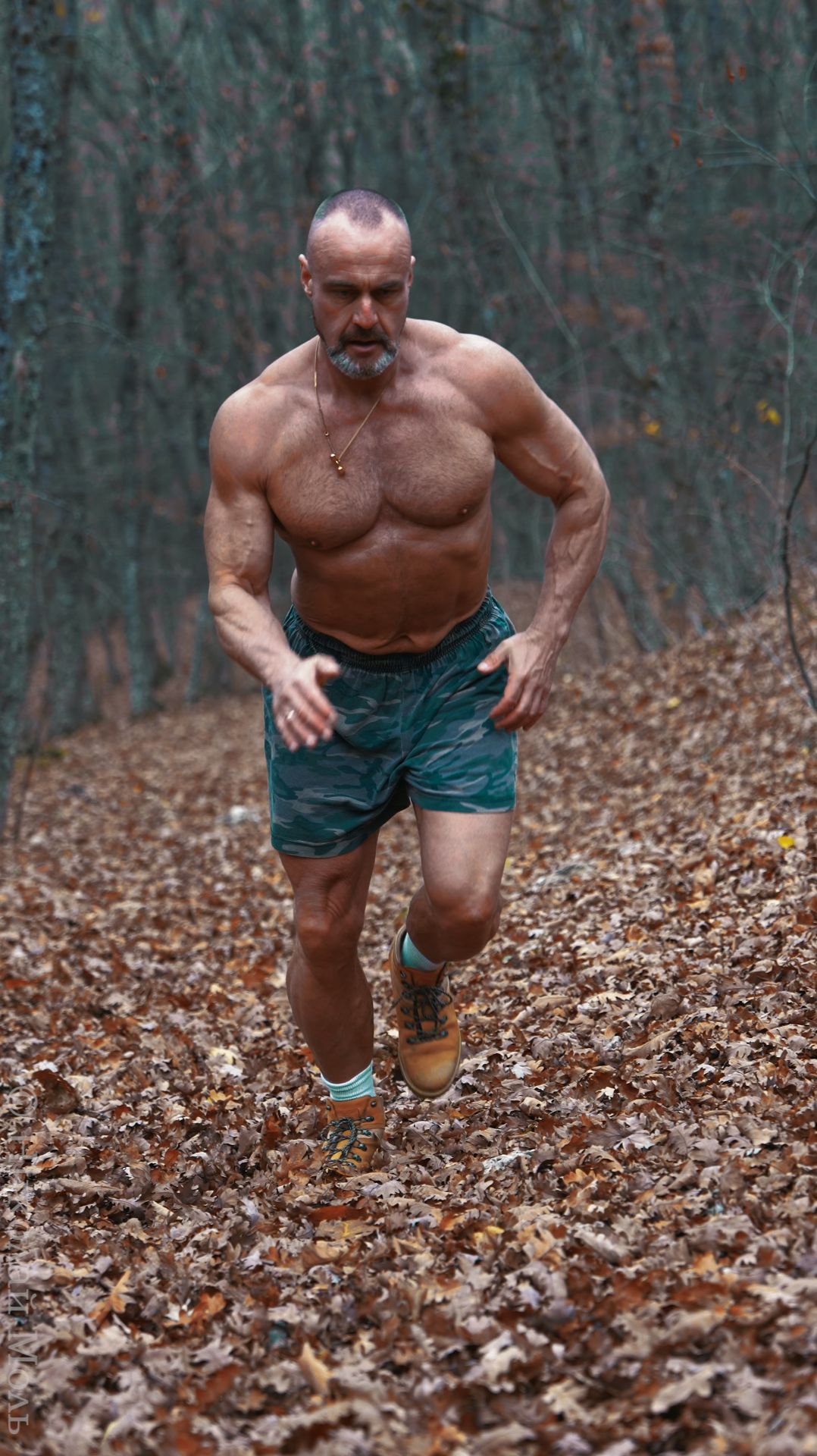 Спортсмен смотреть онлайн