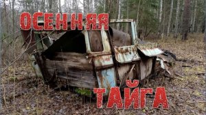 ОСЕННЯЯ ТАЙГА Прогулка по тайге