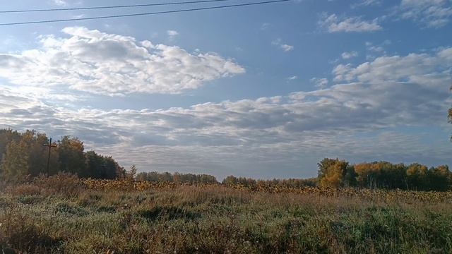 Последние дни осени, любуемся❤️ смотреть онлайн