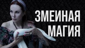 То, что не показали в «Битве Сильнейших»: Змеиный Просмотр — эффективные техники видения.