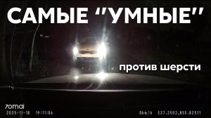 Подборка САМЫХ "УМНЫХ" водителей #1189