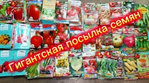 Огроменная посылка с семенами на сезон 2026. Подарок от Светланы и Татьяны.