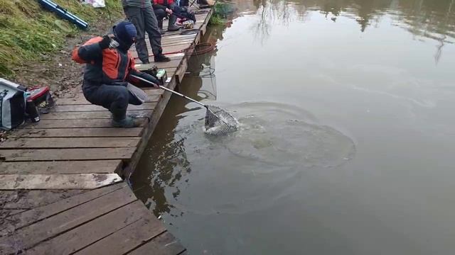 Поимка на пламп смотреть онлайн