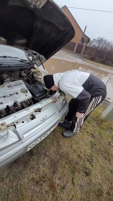 1000106492.mp4 смотреть онлайн