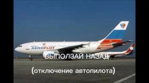 Airbus a310 flight 593 Аэрофлот