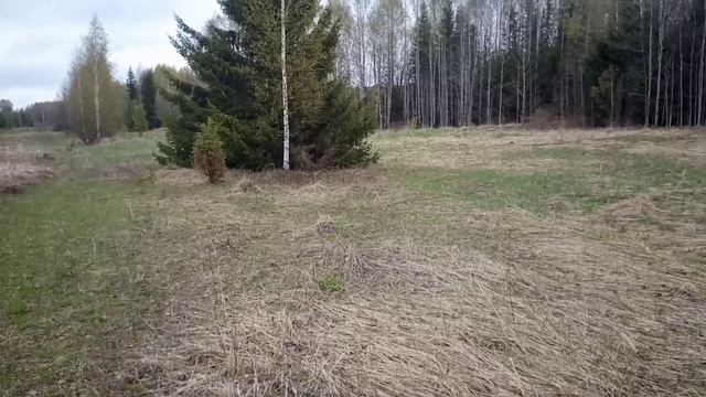 14. Металлокоп с Quest X5. Первый выезд в мае. Трудовой поиск как он есть.