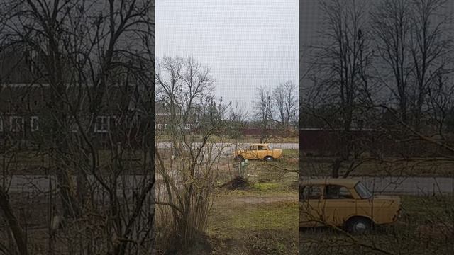 Утренний эфир пересекающий в дневной от 29.11.25 #Распаковка, завтрак и уборка на кухне - общаемся смотреть онлайн