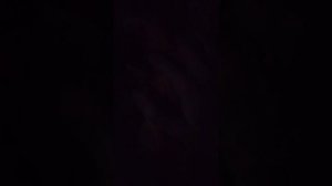 спасение детей из 99 ночей в лесу