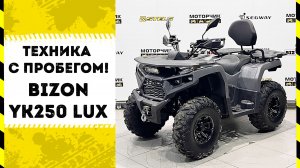 Квадрицикл Bizon YK250 LUX EFI