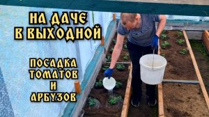 На даче.Посадка томатов и арбузов в теплицу. Обзор огорода. Дачные дела.