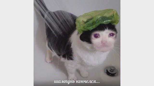 Шампунь кончился(( смотреть онлайн