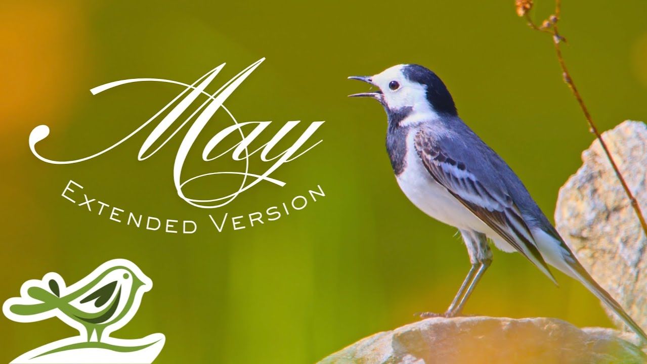 Peder B. Helland - May (расширенная версия) смотреть онлайн