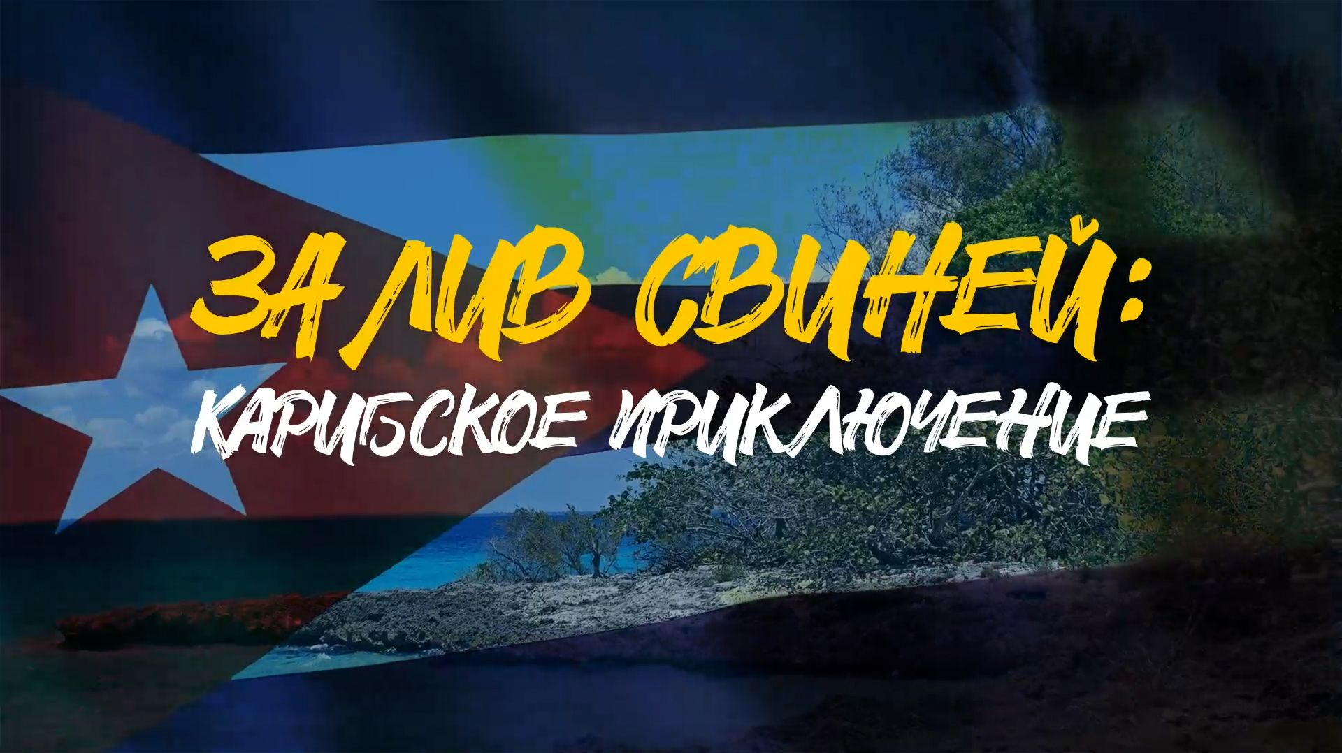 ЗАЛИВ СВИНЕЙ | Карибское приключение | ДЕНЬ РОЖДЕНИЯ НА КУБЕ!