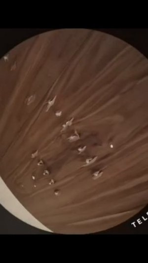 сборка стола