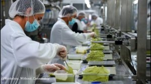 Как производится масло авокадо 🥑 | Полный заводской процесс