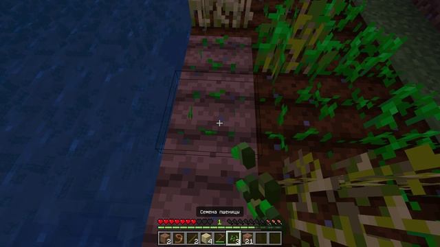 Майнкрафт: выпуск 5