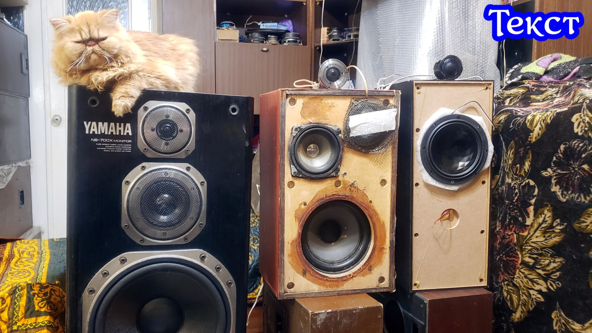 Best Balance Royal , Melodavid 28s , Yamaha ns-700x текст смотреть онлайн