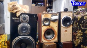 Best Balance Royal , Melodavid 28s , Yamaha ns-700x текст