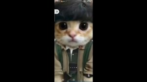 разаблочение на тупых малолетак🥴