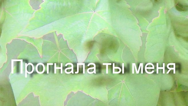 ПРОГНАЛА ТЫ МЕНЯ смотреть онлайн