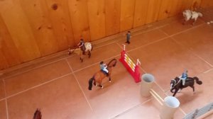 Обзор на КСК восходящая звезда ✴️