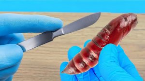 Я разрезал куколку бражника и узнал почему она не родилась!