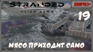🟠Stranded: Alien Dawn🟠№19 Мясо приходит само!.