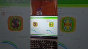 Энергетический палантин для вашего здоровья! Чудесные свойства!