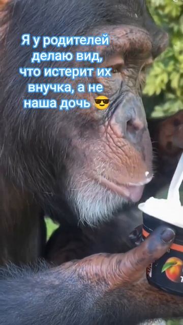 Поддержи подпиской 🤗 У родителей  #дочь #плачь #родители #андрейдемянец #прикол