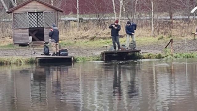 Светлые Горы Форель2 29.11.2025г смотреть онлайн