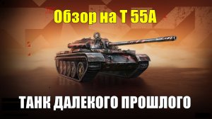 Обзор на Т 55А - Может ли старый танк на равных конкурировать с современными машинами #tanksblitz