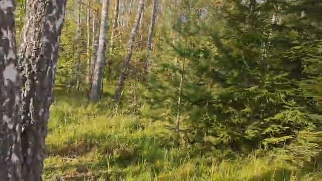 29-11-2025 смотреть онлайн