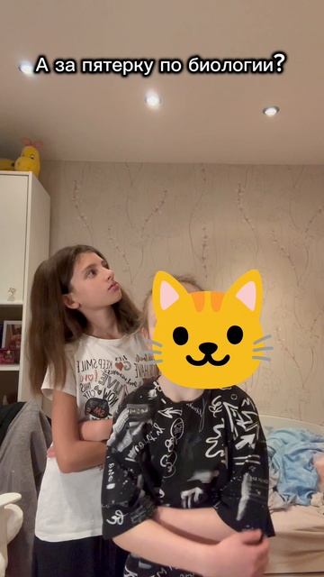 Мяу, мяу смотреть онлайн