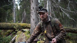 ПОЧЕМУ МЕДВЕДИ НАПАДАЮТ НА ЧЕЛОВЕКА. ДОБЫВАЮ ДИЧЬ. АЛТАЙ И ЛОСИ.