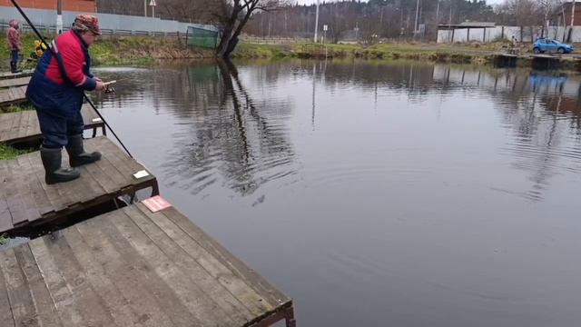 Светлые Горы Форель7 29.11.2025г смотреть онлайн