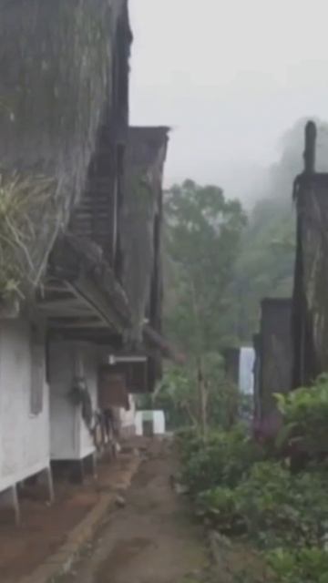 «За что мы так любим наших деревенских мам?»