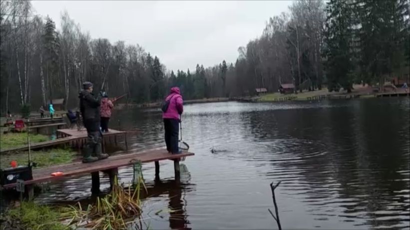 Поимки форели как на закидушки, так и на спиннинг. Клёвое место, Лосиный остров, верхний водоём. смотреть онлайн