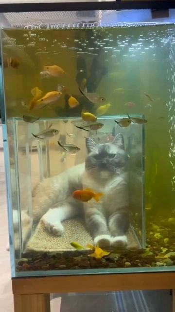 Комната для релакса смотреть онлайн